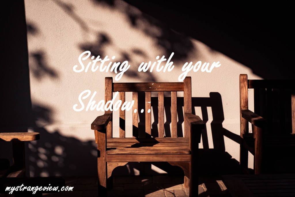 Sitting with your Shadow…